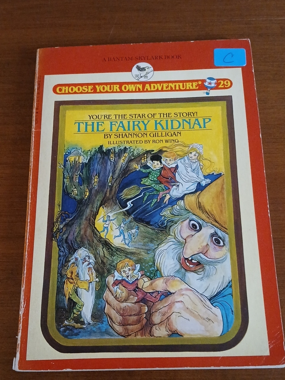Vintage Choose Your Own Adventure #29 The Fairy Kidnap - Red Cover 1985